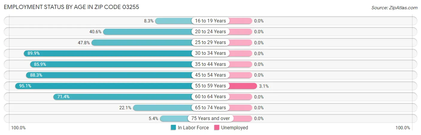 Employment Status by Age in Zip Code 03255