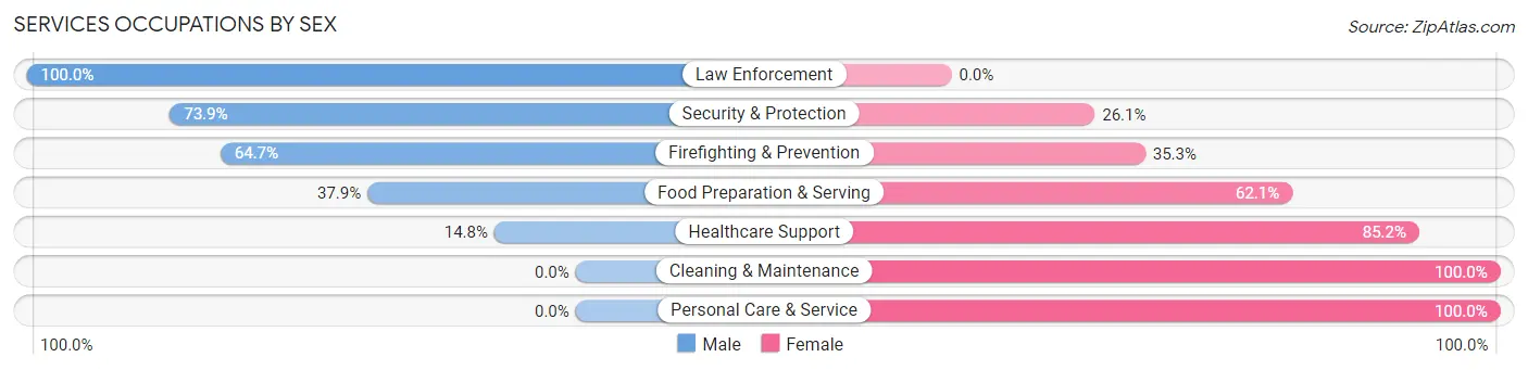 Services Occupations by Sex in Zip Code 03255