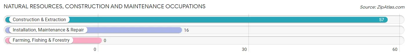 Natural Resources, Construction and Maintenance Occupations in Zip Code 03258