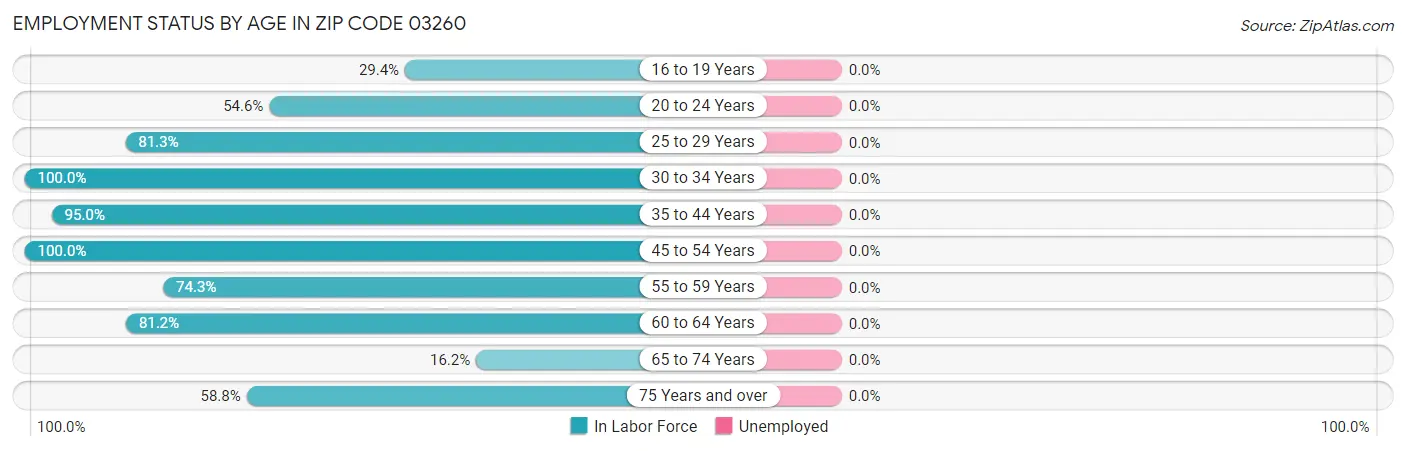 Employment Status by Age in Zip Code 03260