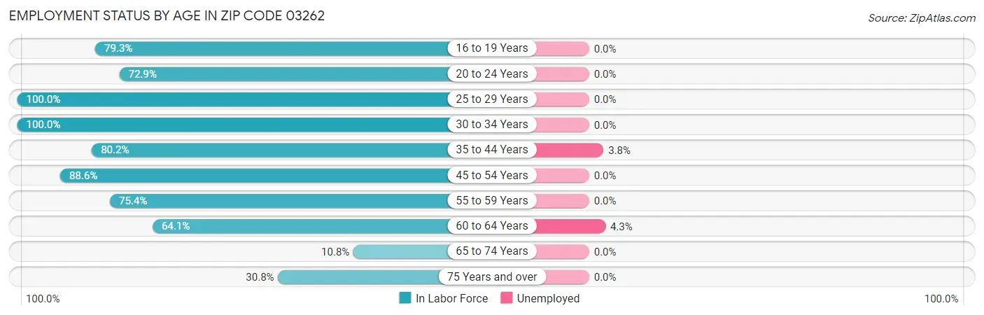 Employment Status by Age in Zip Code 03262