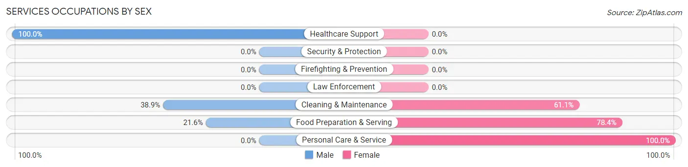 Services Occupations by Sex in Zip Code 03262