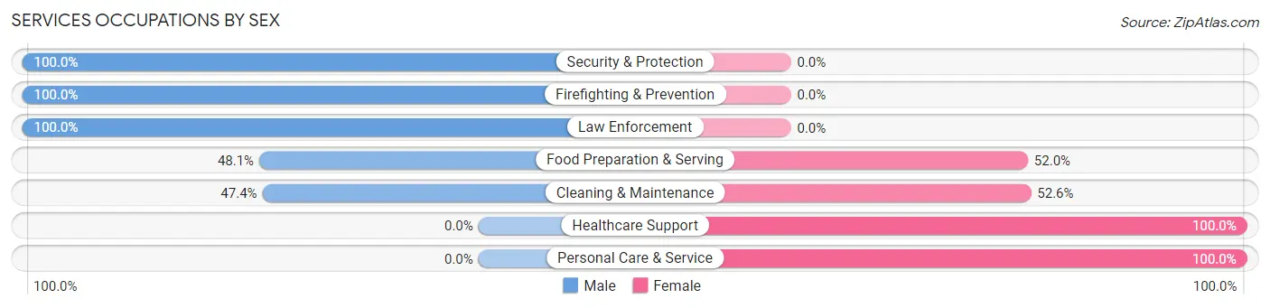 Services Occupations by Sex in Zip Code 03266