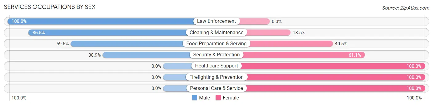 Services Occupations by Sex in Zip Code 03268