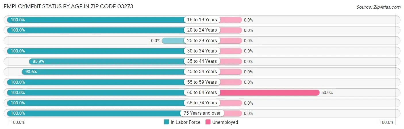 Employment Status by Age in Zip Code 03273
