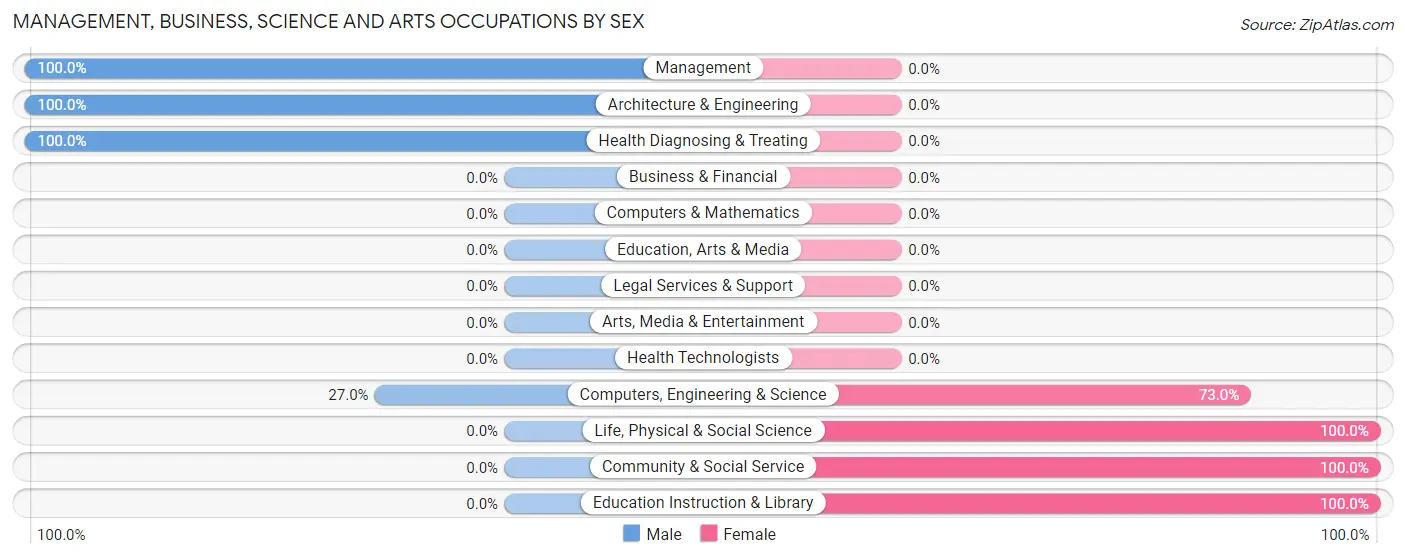 Management, Business, Science and Arts Occupations by Sex in Zip Code 03273