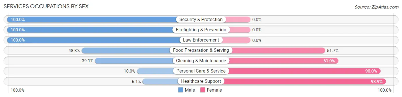 Services Occupations by Sex in Zip Code 03276