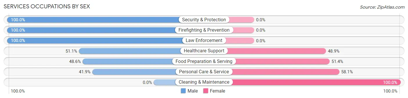 Services Occupations by Sex in Zip Code 03278