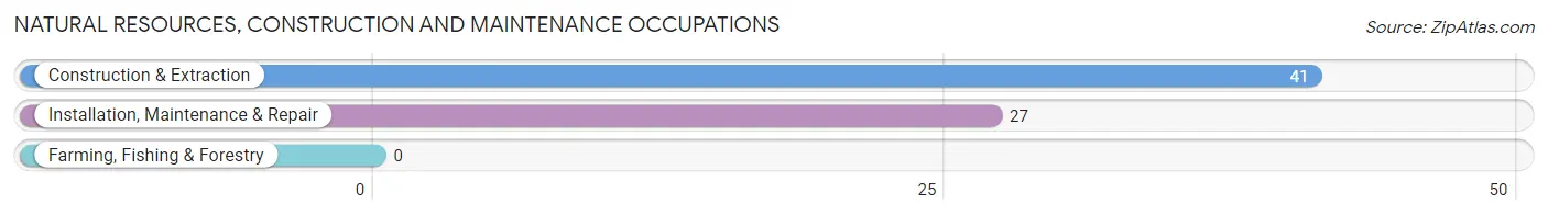 Natural Resources, Construction and Maintenance Occupations in Zip Code 03280