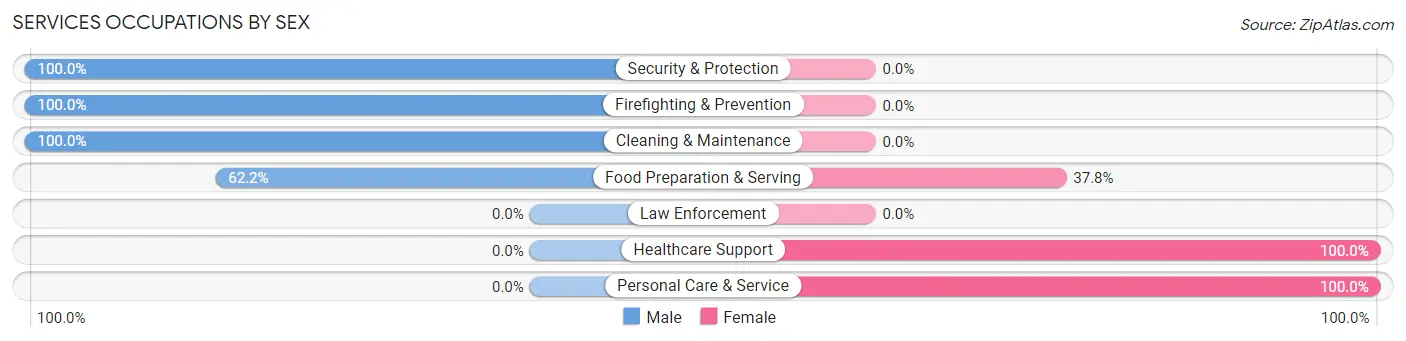 Services Occupations by Sex in Zip Code 03280