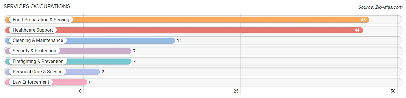 Services Occupations in Zip Code 03280