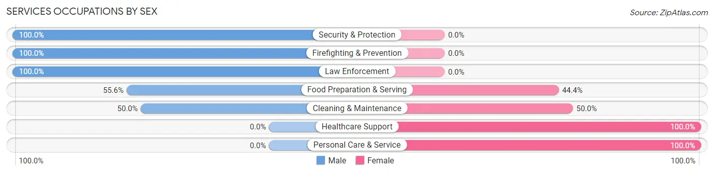 Services Occupations by Sex in Zip Code 03282