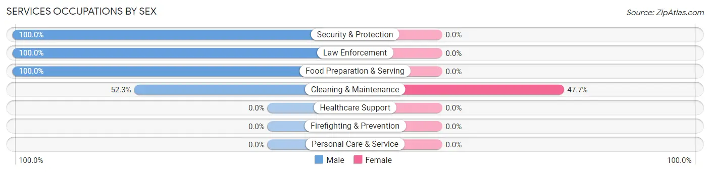 Services Occupations by Sex in Zip Code 03284