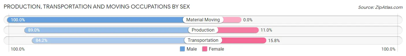 Production, Transportation and Moving Occupations by Sex in Zip Code 03287
