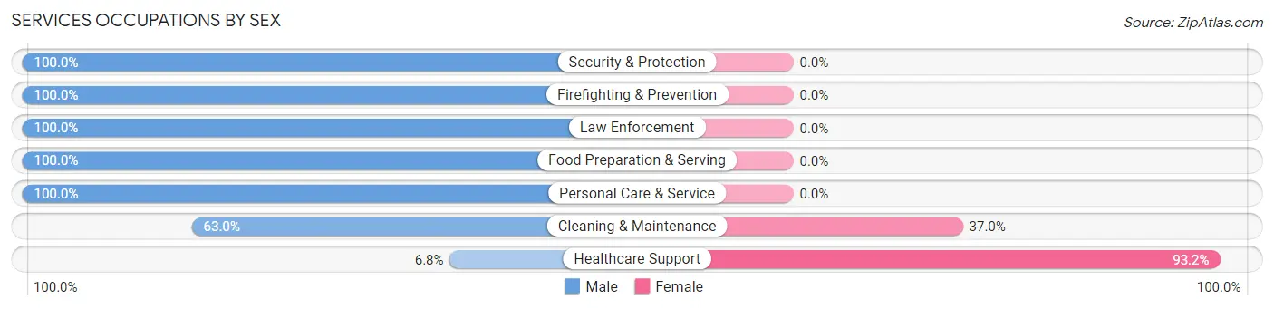 Services Occupations by Sex in Zip Code 03287