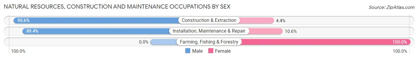 Natural Resources, Construction and Maintenance Occupations by Sex in Zip Code 03290
