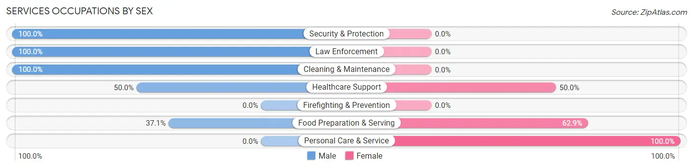 Services Occupations by Sex in Zip Code 03290