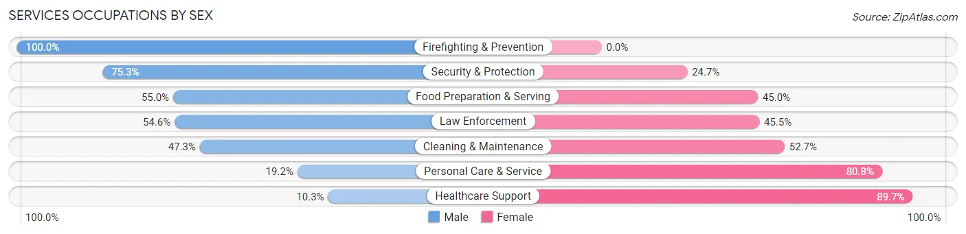 Services Occupations by Sex in Zip Code 03303