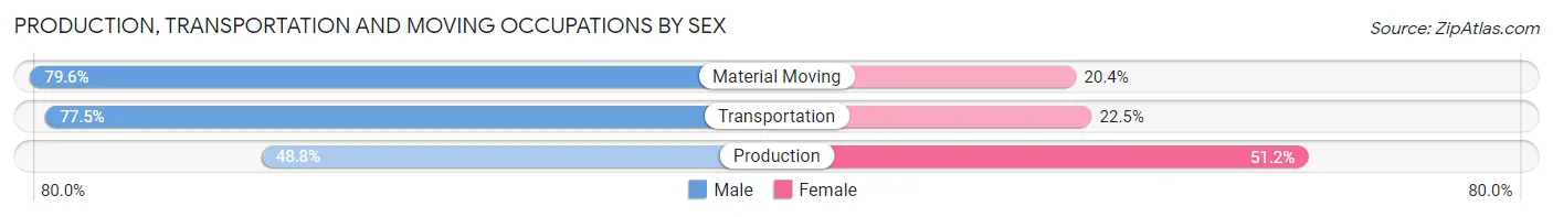Production, Transportation and Moving Occupations by Sex in Zip Code 03304