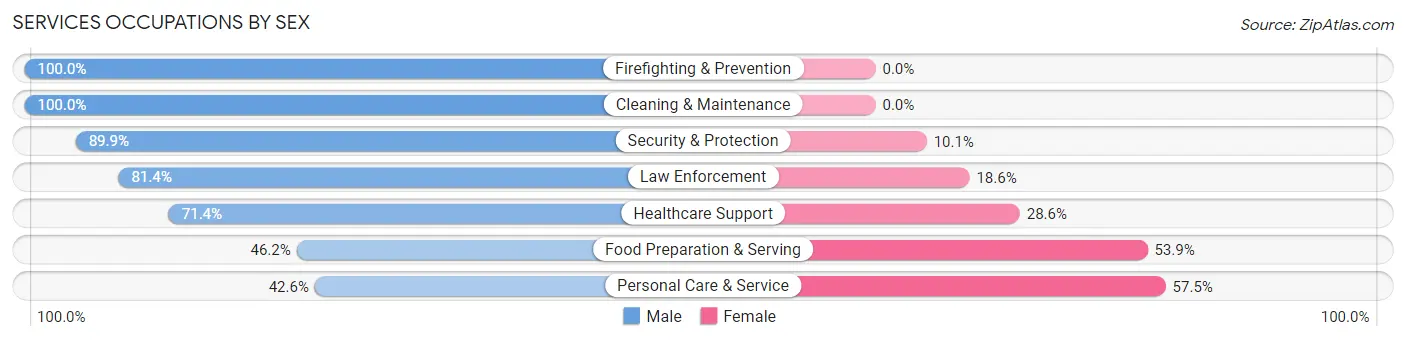 Services Occupations by Sex in Zip Code 03304