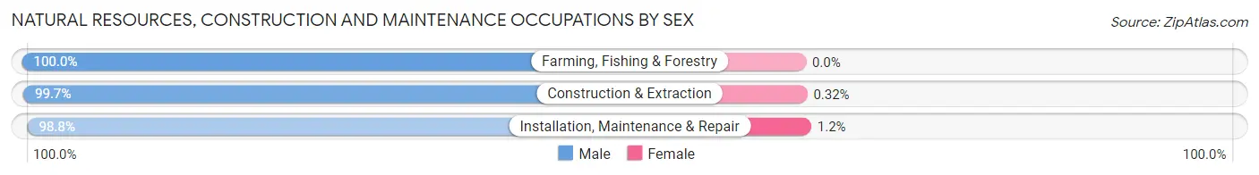 Natural Resources, Construction and Maintenance Occupations by Sex in Zip Code 03431