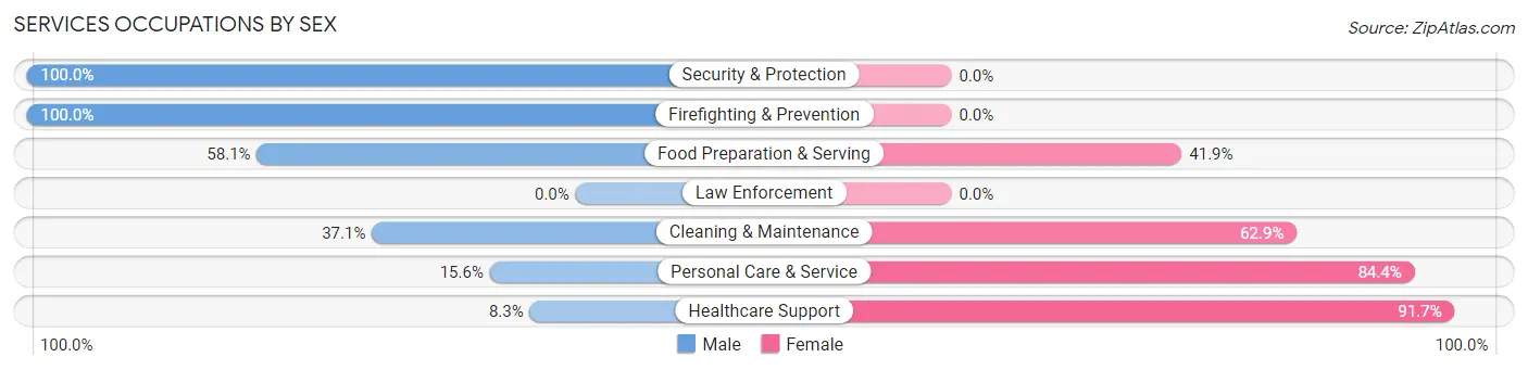 Services Occupations by Sex in Zip Code 03440