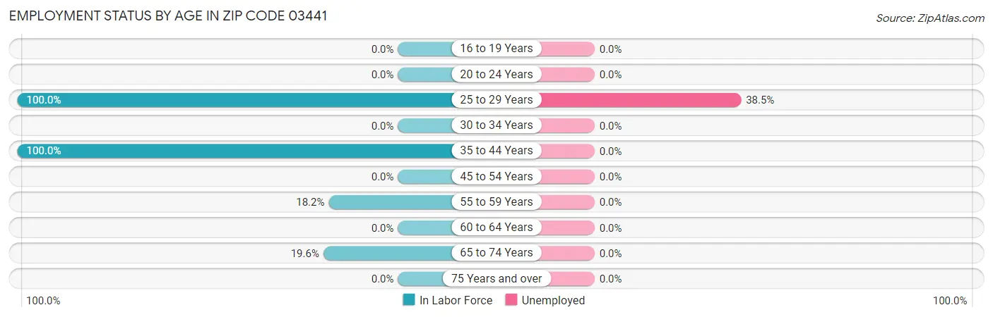 Employment Status by Age in Zip Code 03441