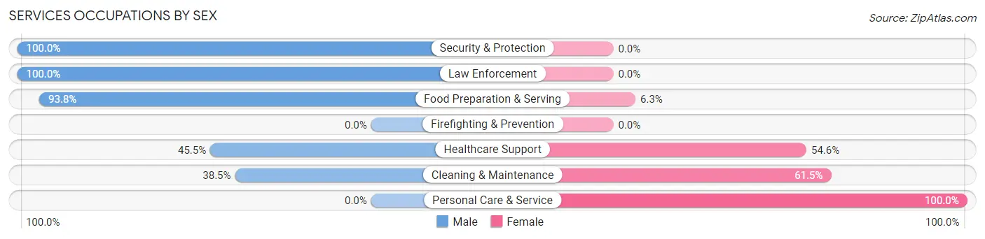 Services Occupations by Sex in Zip Code 03447