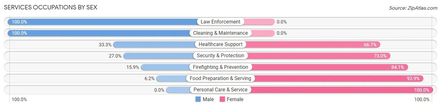 Services Occupations by Sex in Zip Code 03451