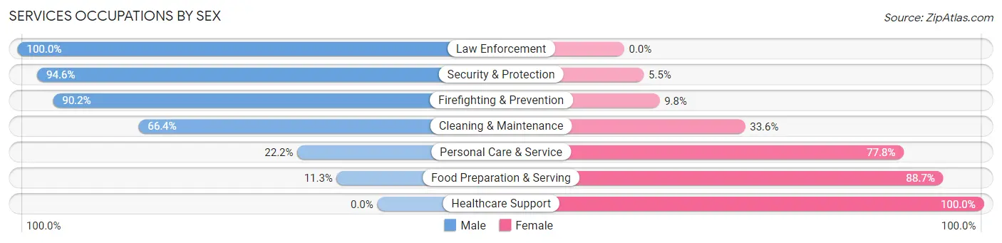 Services Occupations by Sex in Zip Code 03461