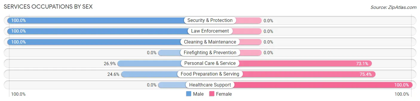 Services Occupations by Sex in Zip Code 03465
