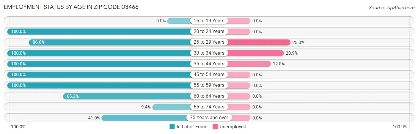 Employment Status by Age in Zip Code 03466