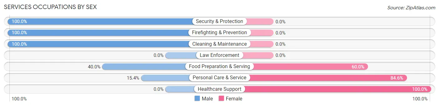 Services Occupations by Sex in Zip Code 03467