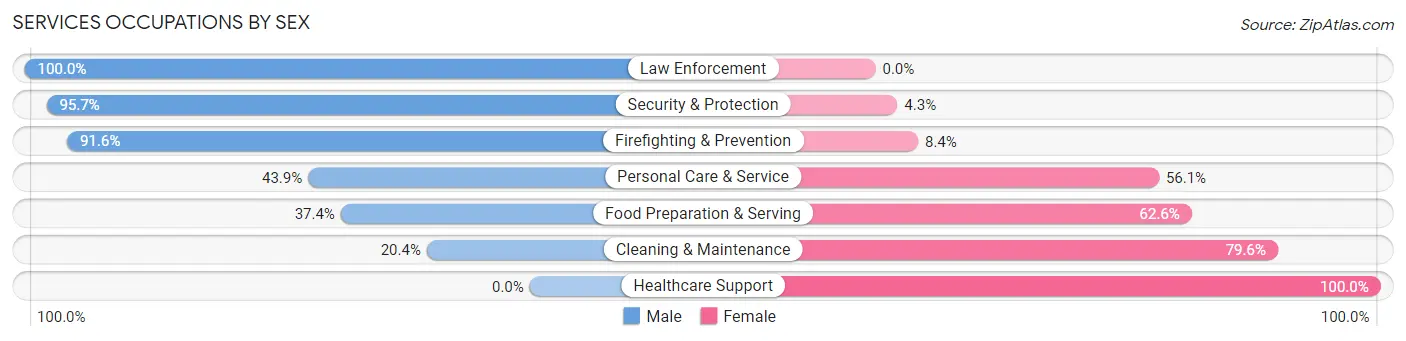 Services Occupations by Sex in Zip Code 03570