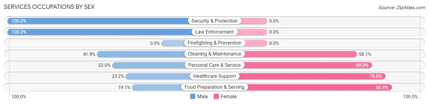 Services Occupations by Sex in Zip Code 03574