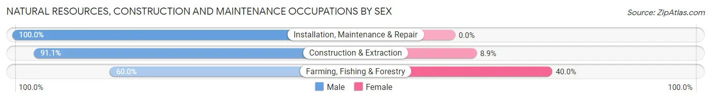Natural Resources, Construction and Maintenance Occupations by Sex in Zip Code 03576