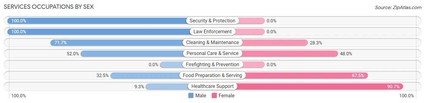 Services Occupations by Sex in Zip Code 03576