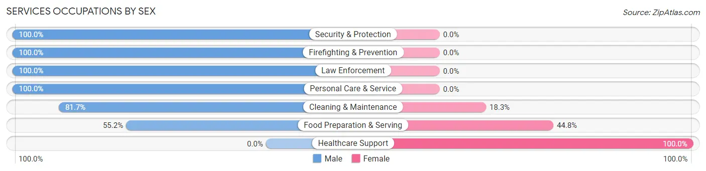 Services Occupations by Sex in Zip Code 03580