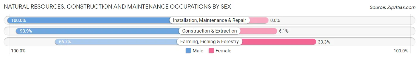 Natural Resources, Construction and Maintenance Occupations by Sex in Zip Code 03581