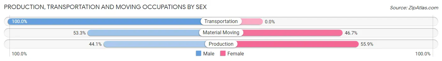 Production, Transportation and Moving Occupations by Sex in Zip Code 03581