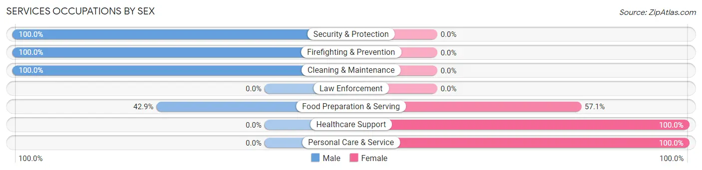Services Occupations by Sex in Zip Code 03583