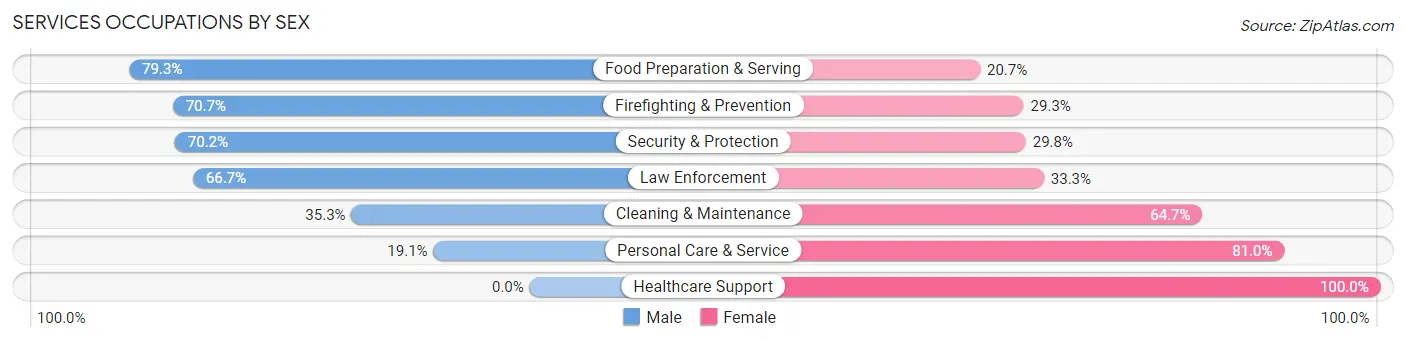 Services Occupations by Sex in Zip Code 03584