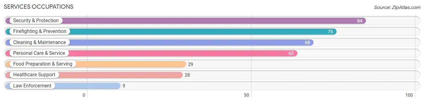 Services Occupations in Zip Code 03584