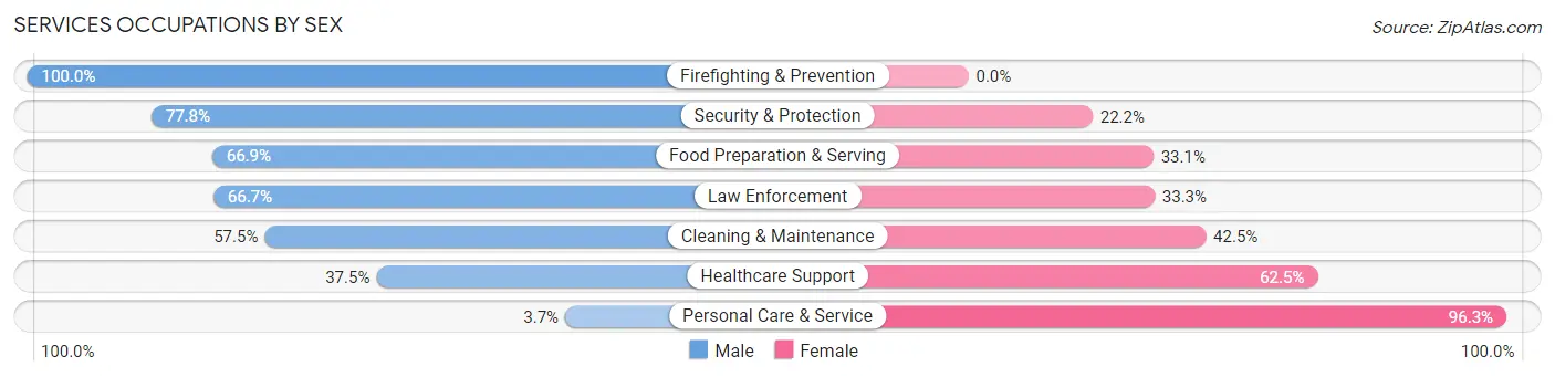 Services Occupations by Sex in Zip Code 03585