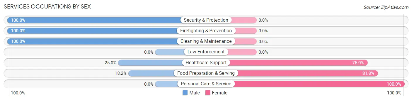 Services Occupations by Sex in Zip Code 03586
