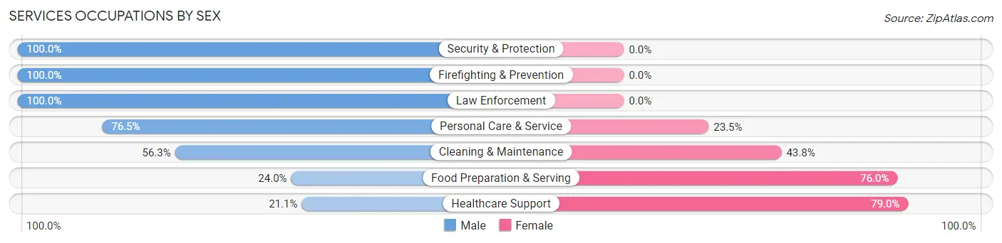 Services Occupations by Sex in Zip Code 03588
