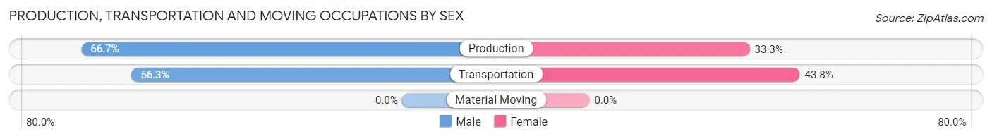Production, Transportation and Moving Occupations by Sex in Zip Code 03595