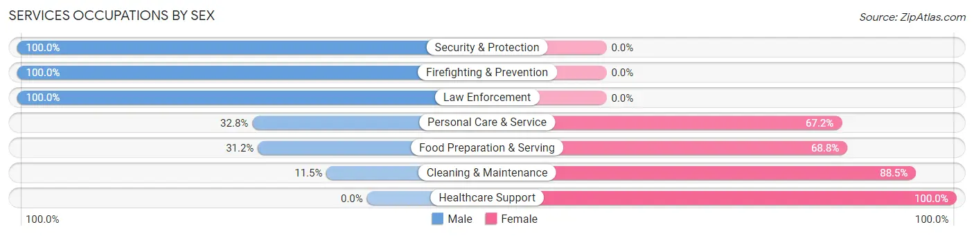 Services Occupations by Sex in Zip Code 03598