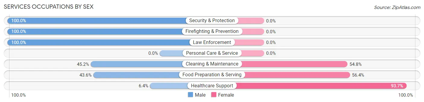 Services Occupations by Sex in Zip Code 03602