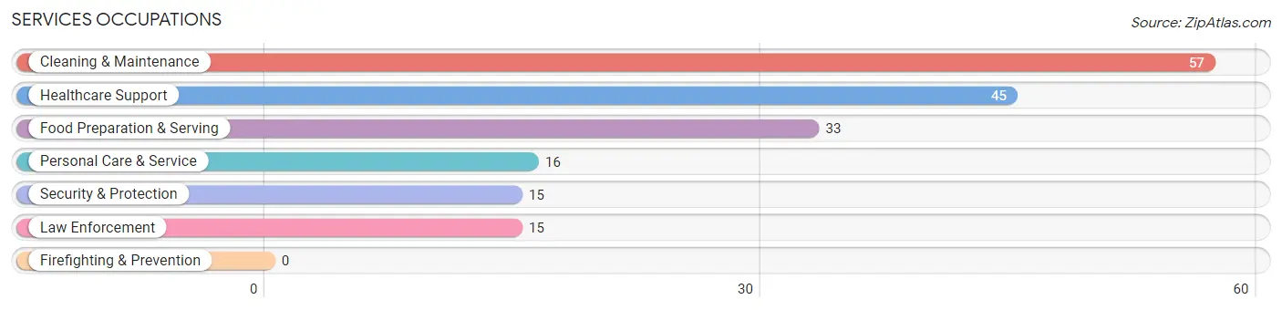 Services Occupations in Zip Code 03603